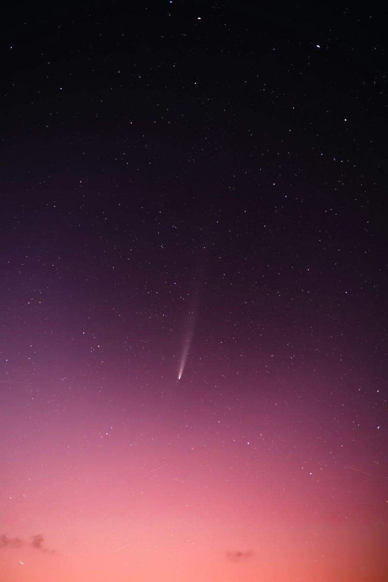 星灯り観賞企画株式会社