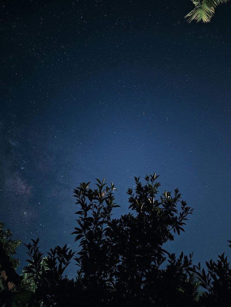冬の澄んだ空で味わう静かな星時間