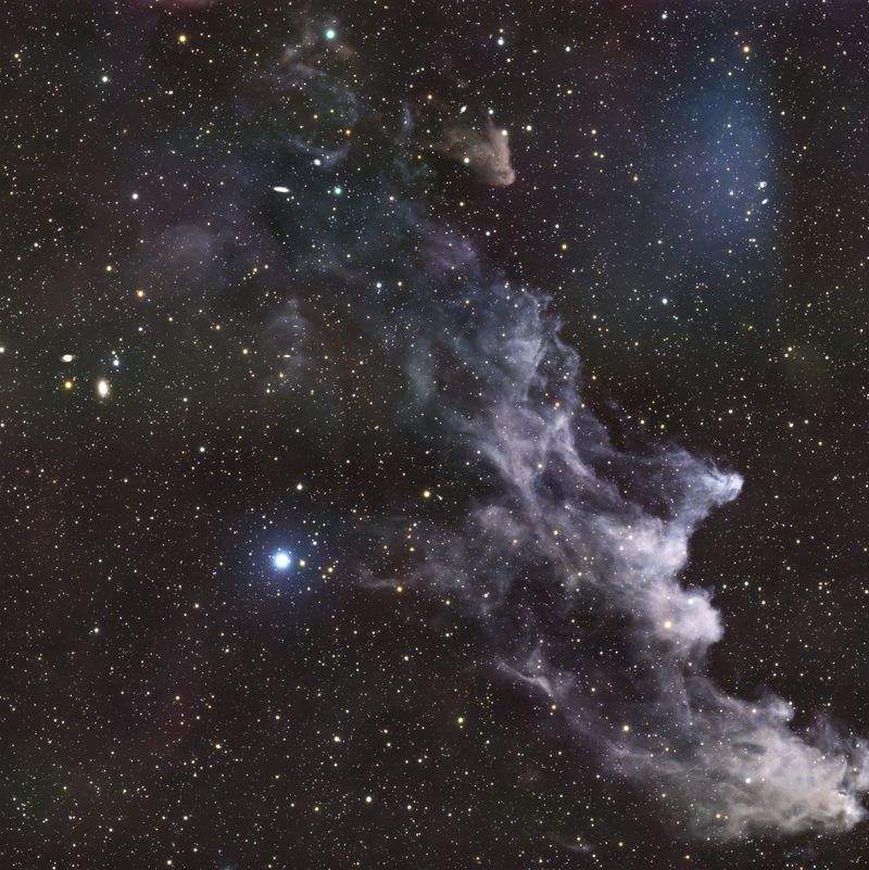 星灯り観賞企画株式会社 1