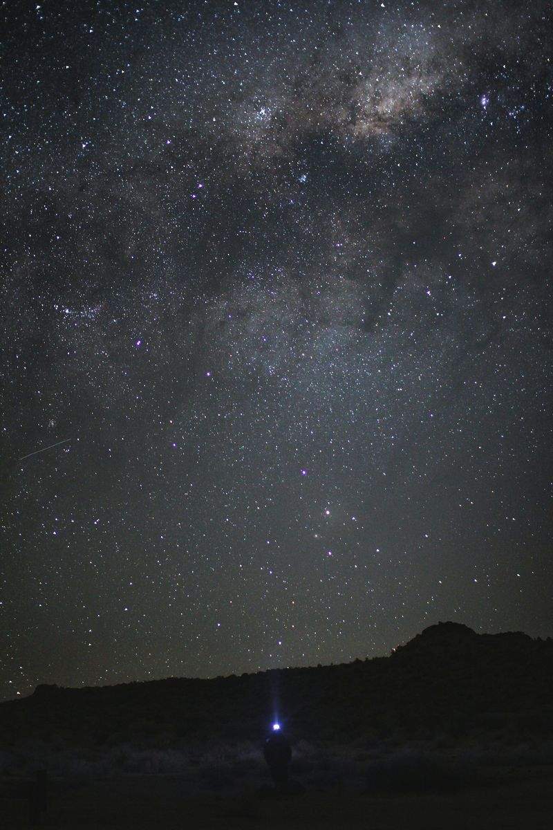 星灯り観賞企画株式会社 2