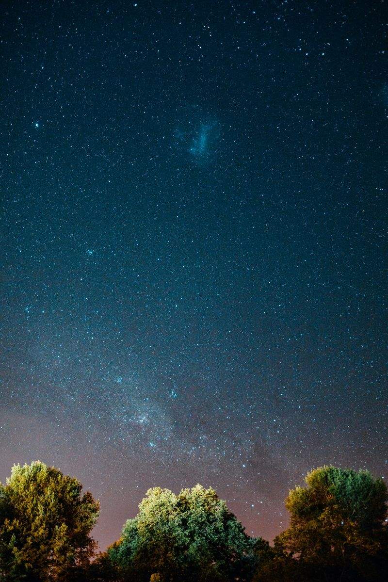星灯り観賞企画株式会社 5